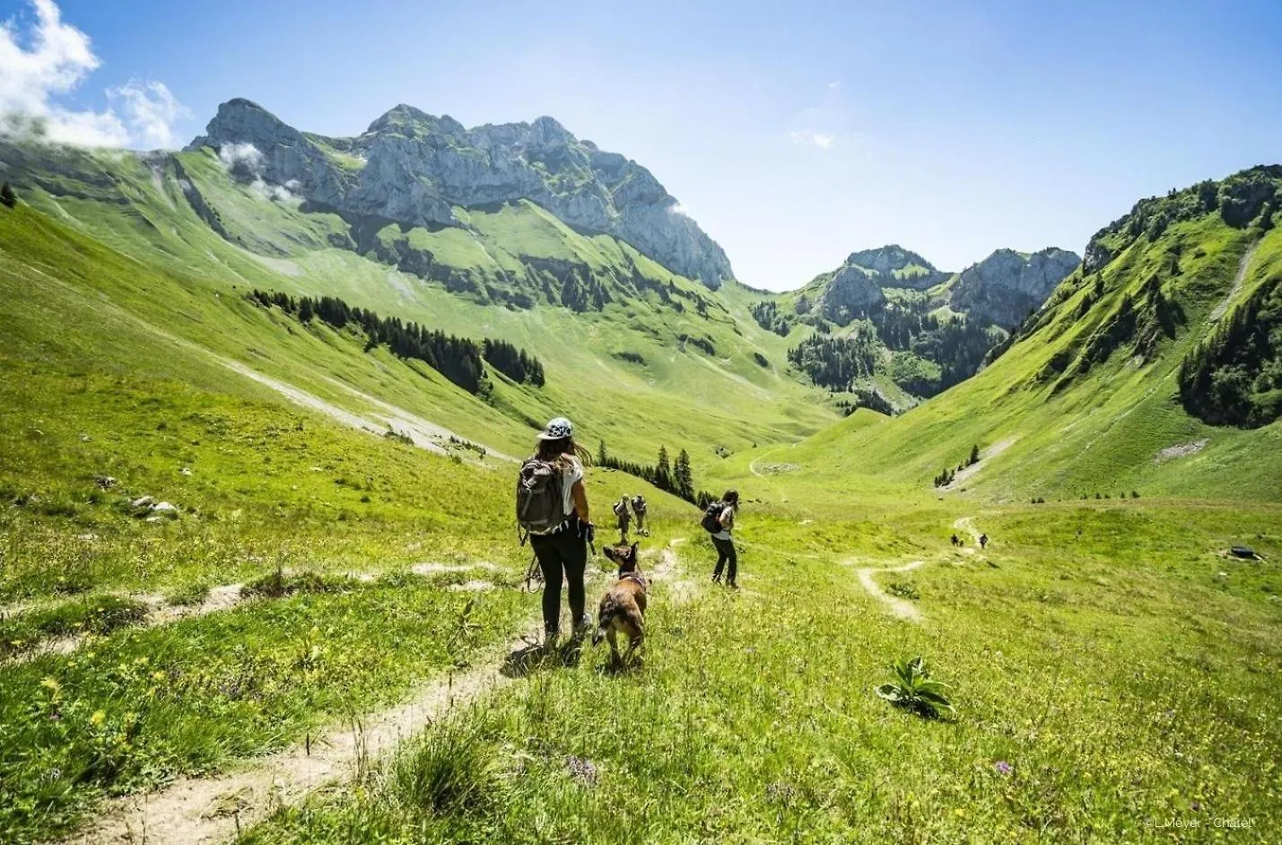 Violettes Vl12 Telecabine & Nature 4 Pers Châtel 0*,  Frankrike