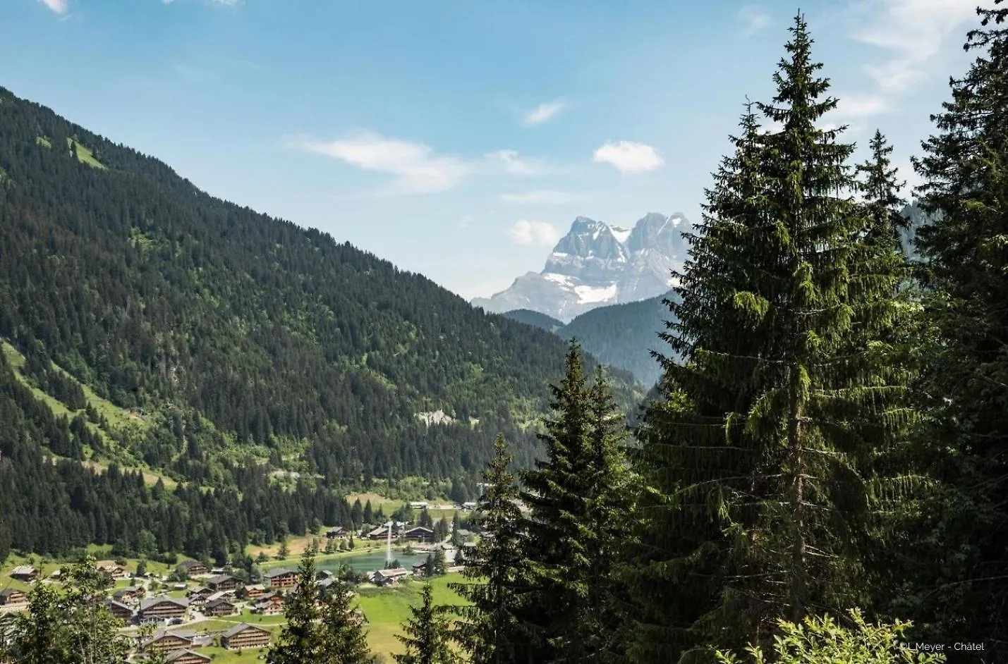 Violettes Vl12 Telecabine & Nature 4 Pers Châtel Lägenhet